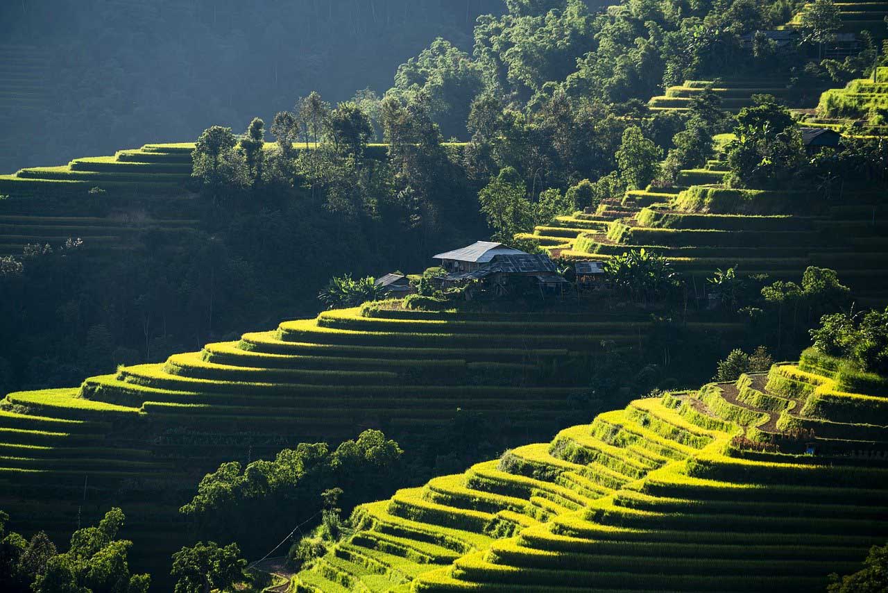 Places To Visit In Vietnam: 10 Highlights For Travelers